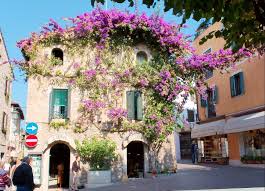 Verona, italy ~ street flowers. Free Stock Photo Of Flower House Download Free Images And Free Illustrations