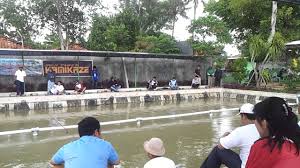 Saung Desa Fun Fishing Game Pt Mitra Infosarana Youtube