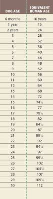 Dog Age Calculator Find Dogs Age In Human Years So It