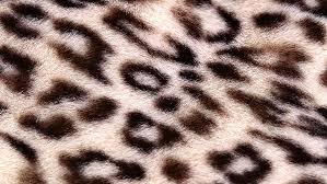 Have a wallpaper you'd like to share? White And Brown Leopard Print Textile Leopard Background Texture Spotted Hd Wallpaper Wallpaperbetter