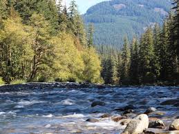 Visitor guide to camping at mount rainier including mt. Ohanapecosh Campground Mount Rainier National Park Recreation Gov