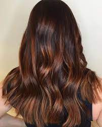 Chestnut hair color is a rich brown with red undertones. 40 Unique Ways To Make Your Chestnut Brown Hair Pop