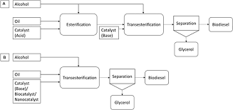 Key process factors in supercritical transesterification of algae. Frontiers State Of The Art Of Catalysts For Biodiesel Production Energy Research