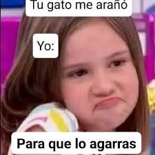 Amanda Llorens's Instagram, Twitter & Facebook