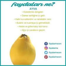 Ayvanin Faydalari Nelerdir Ayva Ayfaninfaydalari Dogal Tip Beslenme Saglikli Yasam