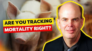 Bryan Humphreys: We're Here for the Hard Stuff