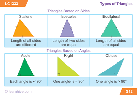 Learnhive Icse Grade 5 Mathematics Triangles Lessons