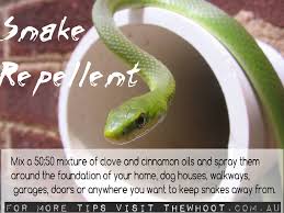 Use crushed rock there are no chemical repellents for snakes. Pin By Sondra Booze On Garden And Outside Tips Snake Repellant Snake