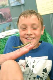 Earley Green Fair picture gallery