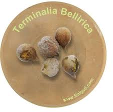 Image result for Terminalia bellirica