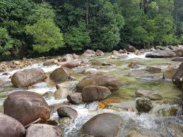 Pantai bukit keluarng, 22200, kuala besut, terengganu. O Xrhsths Faifairus88 Sto Twitter Dikatakan Antara Air Terjun Tercantik Di Terengganu Lata Payung Terletak Di Hutan Lipur Lata Payung Di Daerah Setiu Sempadan Besut Terengganu Foto Fb Suz Fashionhouse Https T Co Tv70juawim