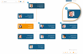 Organizational charts are essentially a diagram of your company or organization's hierarchical structure. Create Organizational Charts Online