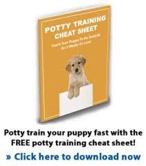 Golden retrievers near richmond, virginia. Golden Retriever Rescues In Virginia Adopt A Golden Retriever Near You Golden Hearts