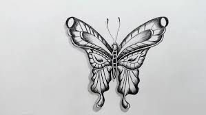 Gambar sketsa hewan kupu kupu. Koleksi Gambar Kupu Kupu Yang Indah