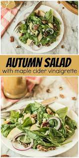 Autumn Salad Recipe Autumn Salad Delicious Salads Yummy Salad Recipes