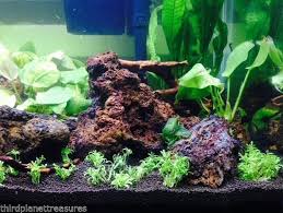 Lava Rock Aquariums Aquarium Rocks Planted Aquarium Aquarium