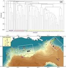 Epibenthic Fish Species Composition And Faunal Zonation During The R V Download Scientific Diagram