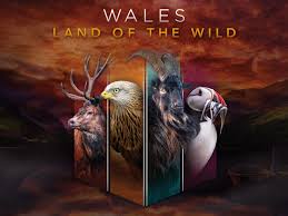 It is mainly a mountainous land with a chiefly agricultural many english people move to wales when they retire. Wales Land Of The Wild Tv Mini Series 2019 2020 Imdb