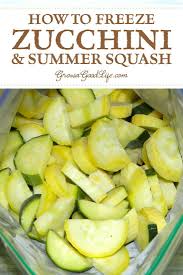 5 Ways To Freeze Zucchini In 2020 Summer Squash Recipes Freezing Zucchini Frozen Veggies