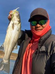 Big Drives and Walks for Scenic Fishing in Okanagan