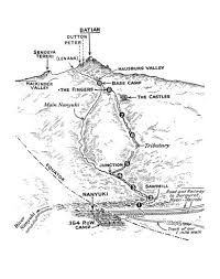 Sleeveless lemon print dress with shirred bodice; Articles Extracts Archives Slightly Foxed