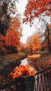 Imagenes Halloween 2019 Achtergronden Landschappen Herfst Landschap