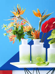 What is the most exotic flower. Travelling With The Most Exotic Flowers Funny How Flowers Do That