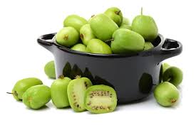 Image result for foto minikiwi