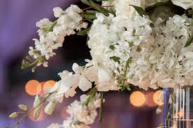 Customized funeral and memorial services. Best Flowers Beneva Flowers Best Of Srq Srq Magazine Article By Aviel Kanter