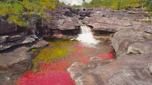 Tenemos planes para diferentes presupuestos e intereses. Cano Cristales Villavicencio Meta Llanos Colombianos Facebook