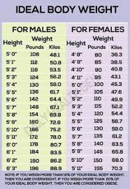 This allows more fat burning hormones (like adrenaline) to get into your abdominal. The Weight Loss Merry Go Round