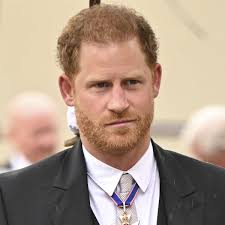 Prinz Harrys letzter Freund in England: Nur ihm kann er trauen