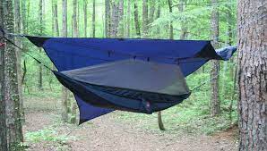 We did not find results for: The Best Hammock Tent To Get In 2021 Rangermade