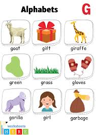 There are 4735 words starting with g, listed below sorted by word length. Alphabet G Words With Pictures Letter G Vocabulary With Pictures Worksheetshere Com