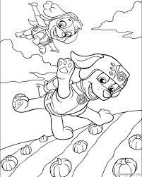 Paw patrol thanksgiving coloring pages at getcoloringscom template. Paw Patrol Coloring Pages Skye And Zuma Flying Coloring4free Coloring4free Com
