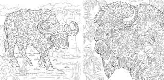 Lunch box notes, games, coloring pages, educational worksheets, and more! Coloring Pages Coloring Book For Adults Colouring Pictures Royalty Free Cliparts Vectors And Stock Illustration Image 110955693