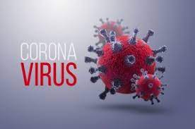 You may start to notice symptoms 2 to 14 days after you're exposed to the virus. Ce Ivd Qpcr Covid 19 Test In 2 Hours Biotrend