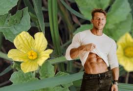 Image result for Fadogia tomentosa