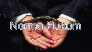 Pengertian Norma Hukum Ciri Unsur Tujuan Contoh Dan Kelompok Dalam Norma Hukum Terlengkap Http Www Pelajaran Co Id 2017 24 Pengert Tujuan Sekolah Hukum