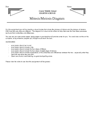Doc Mitosis Meiosis Diagram Kendyl Howard Academia Edu