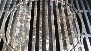 Pour it into a spray bottle and spray the grates. How To Clean Porcelain Coated Grill Grates With Video 4thegrill Com