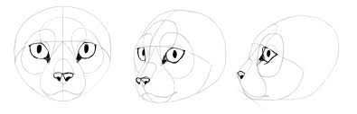 Sketchbook Original How To Draw Cats Monika Zagrobelna I have a ton of trouble placing the chest and paws on the rest of the body and references really don't help at all. to draw cats monika zagrobelna