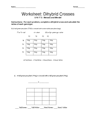 Some of the worksheets displayed are dihybrid cross work chapter 10 dihybrid cross work dihybrid cross punnett squares dihybrid crosses answer key worksheet 51 naming and writing ionic compounds with polyatomic ions author. Di Hybrid Cross Ws Dominance Genetics Zygosity
