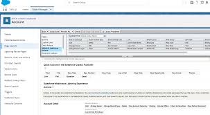 Custom Button Not Showing In Page Level Action Menu In Lightning Salesforce Developer Community