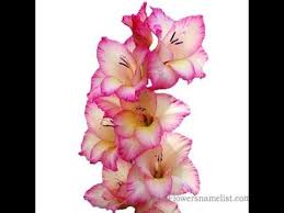 Check spelling or type a new query. Flowers That Start With G Youtube