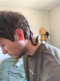 In a future life he will be a contorture artist 😅 why does he have to  squeeze himself in the tightest place under a cork bark? 😂 He has these  marks on