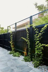 Pin On Diy Home Improvement Bloggers Best Wall Climbing Plants Modern Garden Backyard Landscaping