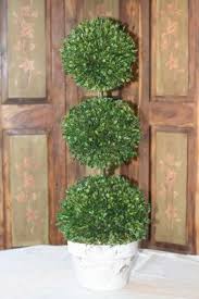 We did not find results for: 30 Triple Ball Preserved Boxwood Topiary