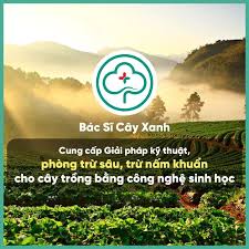 Chế phẩm sinh học là gì -Tất tần tật các thông tin về chế phẩm sinh học