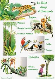 Epingle Sur A French Teacher Culture Francaise